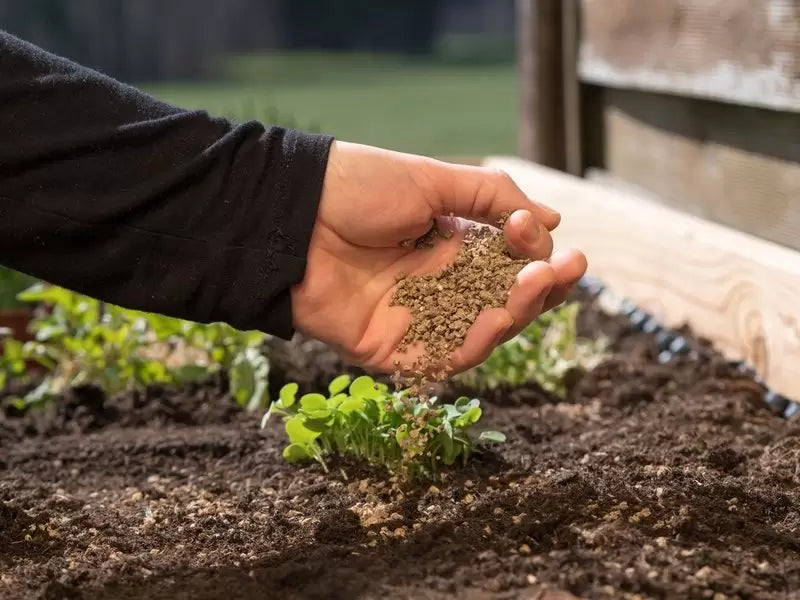 Explained: Plant food & fertilisers