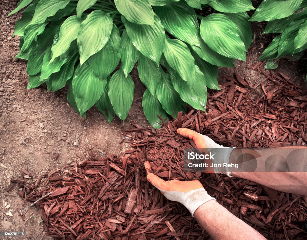 5 Essential Materials to Get Your Garden Ready for Autumn