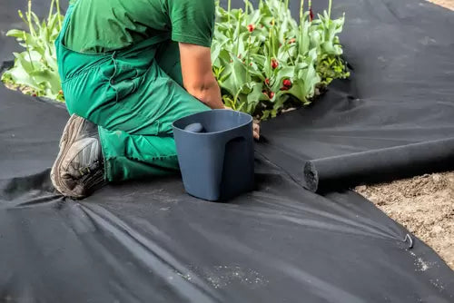 The first step in protecting your soil: Weed control membrane or Mulch?
