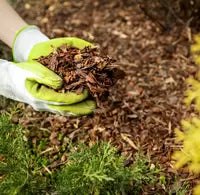 Bark & Mulch