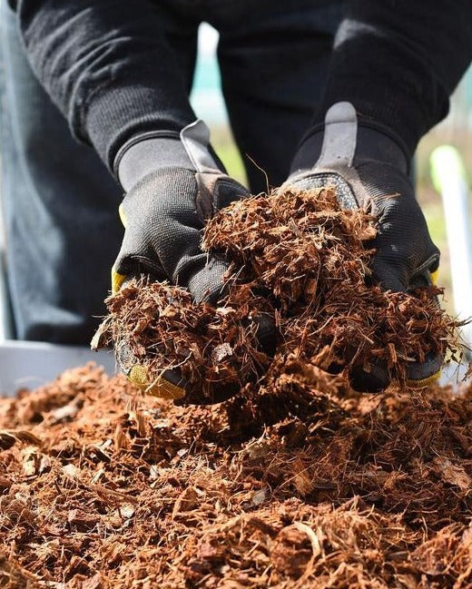 Peat Free Multi Purpose Compost