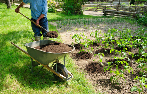 Enriched Peat-free Topsoil