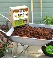 //www.barkukonline.co.uk/cdn/shop/files/COCOGROW1_1_7bbb99fb-32fa-4550-9b1f-242d58e9c9f6_169x260.jpg?v=1713815785