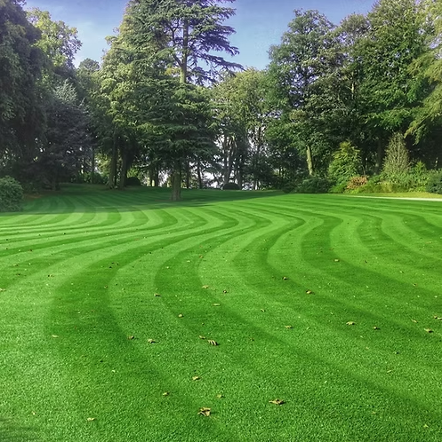HM.3 Hard Wearing Lawn Grass Seed Mix (HM3)