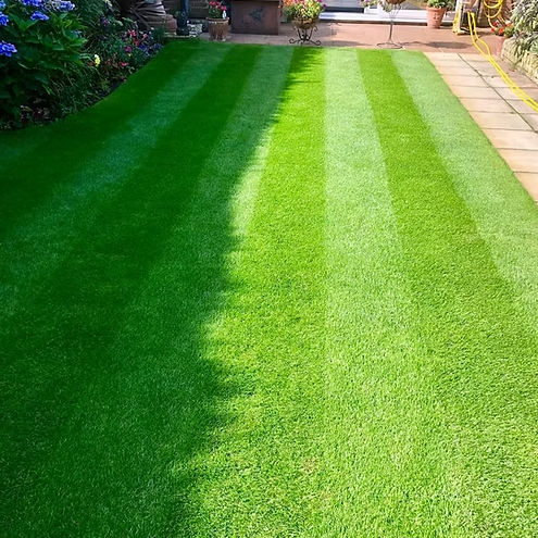 Deluxe Turf *Bulk Buy Saver* FREE Pallet Delivery (select pallet amount)