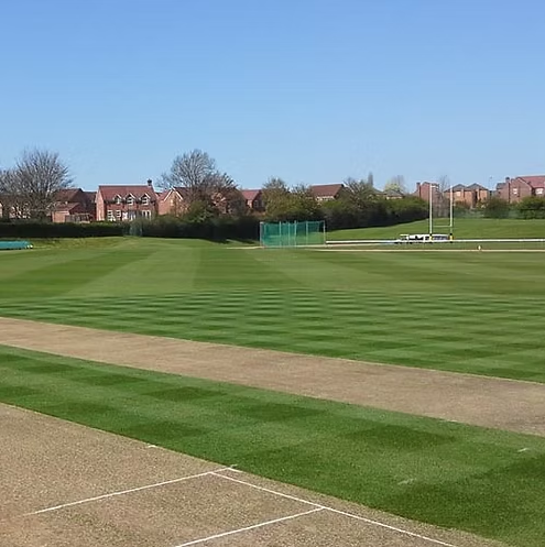 CR.3 Eco Cricket Squares Grass Seed Mix