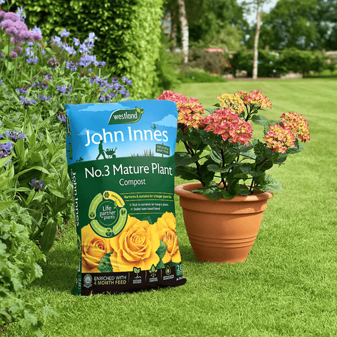 John Innes Peat Free Seed Sowing Compost 28ltr Bulk Buy