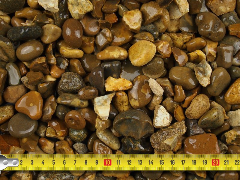 Close-up of wet brown and tan pebbles with a yellow measuring tape