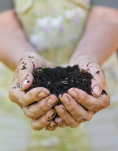 //www.barkukonline.co.uk/cdn/shop/files/peat_free_compost_buy_online_2_faaa4819-7065-45cc-9984-1e05061c5823_169x260.png?v=1713815177