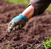 //www.barkukonline.co.uk/cdn/shop/files/plant-food-fertiliser-order-online_67590685-cf1e-4af4-af5a-7ef80b091d01_169x260.png?v=1713814231