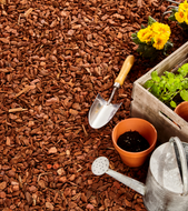 //www.barkukonline.co.uk/cdn/shop/files/wood_chips_hardwood_28eb5973-34c7-40d9-9914-188cdffcfced_169x260.png?v=1713810406