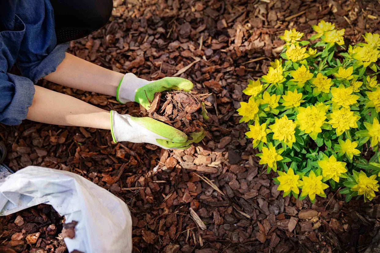 Winter Garden Prep: Why Mulching In Autumn Sets You Up for Spring