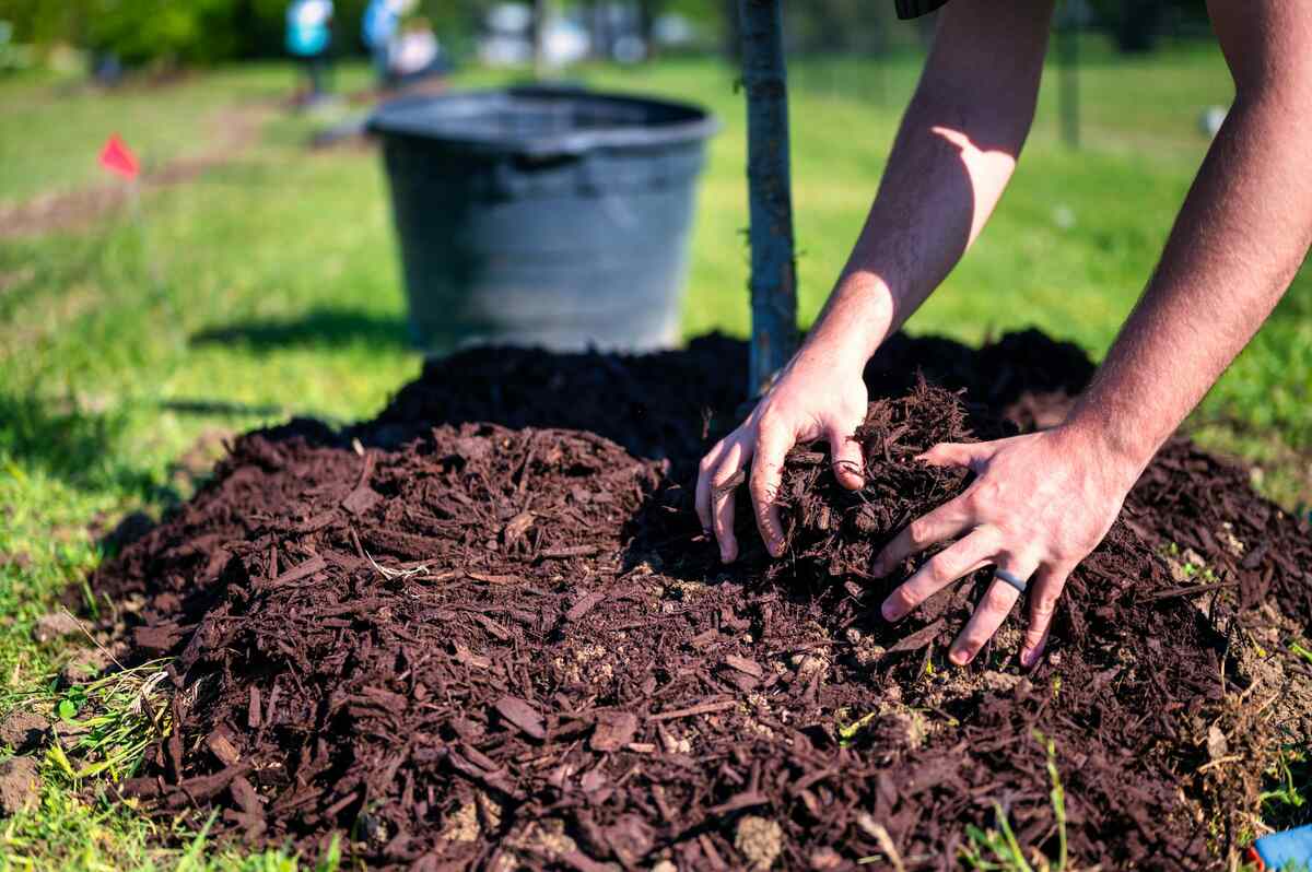 Spring Clean Your Garden: How to Re-Mulch, Refresh Borders and Boost Soil After Winter