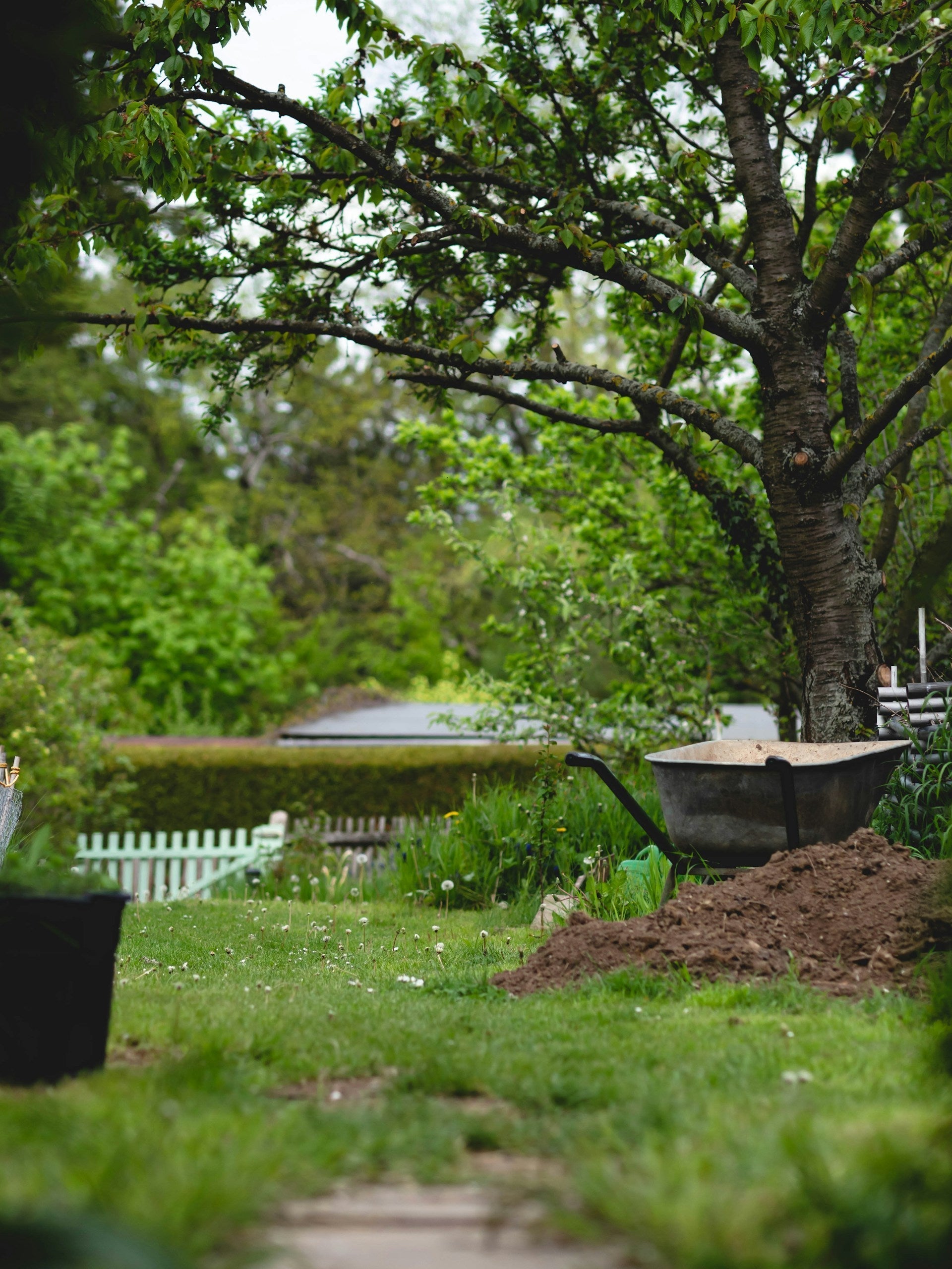 Why Spring Is the Perfect Time to Refresh Your Mulch Beds