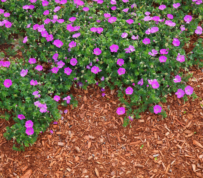 How Mulch and Potting Soil Help Winter-proof Your Flower Beds