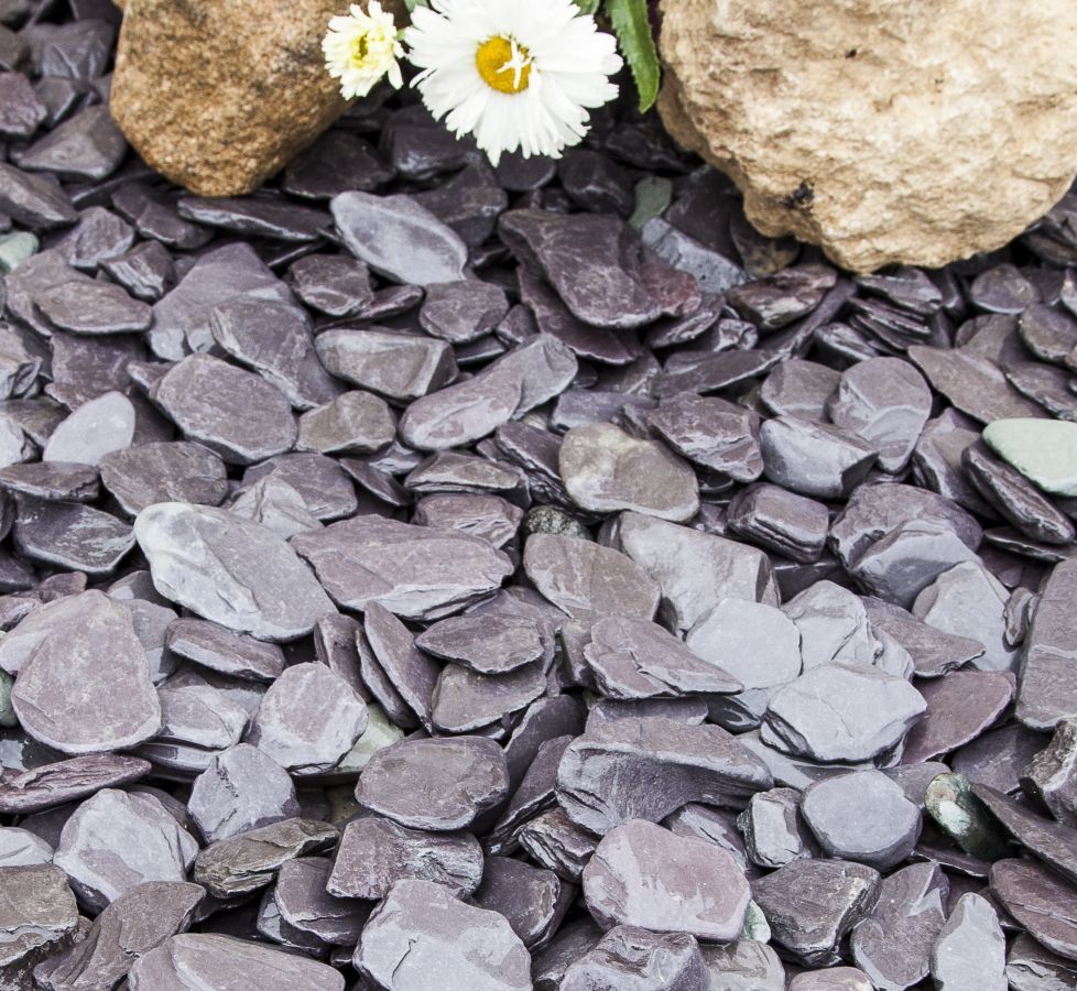 Blue paddlestones