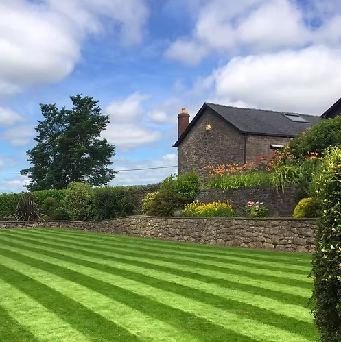 HM.2 Premium Front Lawn / Low Maintenance Grass Seed Mix (HM2)