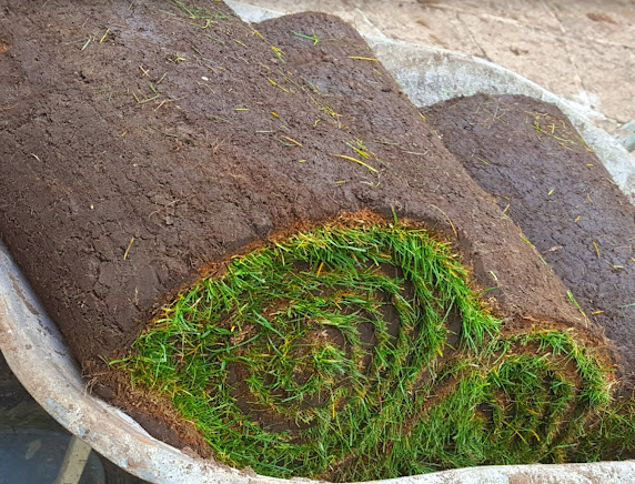 Lawn Shade Turf *Bulk Buy Saver* FREE Pallet Delivery (select pallet amount)