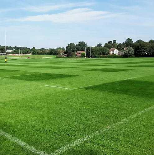 FR.3 Contractor 3-Way Ryegrass Grass Seed Mix