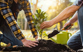 //www.barkukonline.co.uk/cdn/shop/files/gardenpacks-500x312-640f214260e6e_169x260.jpg?v=1713816310