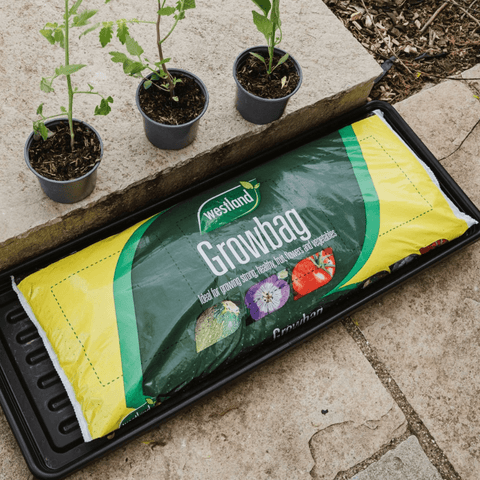 John Innes Peat Free No.3 Mature Plant Compost 28ltr Bulk Buy