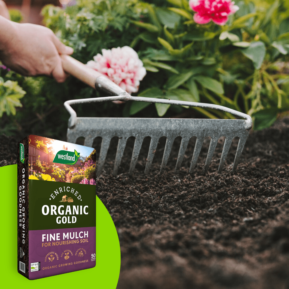 Organic Gold Fine Mulch 50ltr Bulk Buy