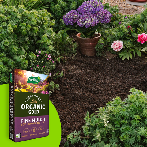 50ltr Peat Free Multi Purpose Compost