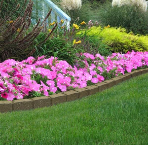 Roman Stone Border Earth