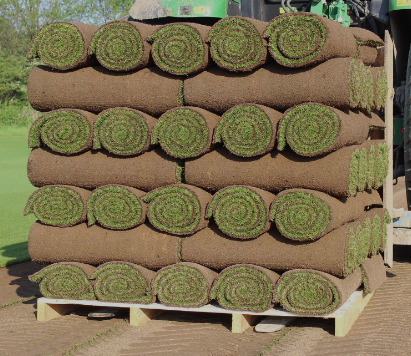 Premier Lawn Turf *Bulk Buy Saver* FREE Pallet Delivery (select pallet amount)