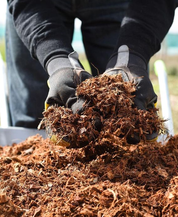 Buy Peat Free Compost Online | BARK UK Online