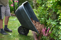 Enhance Your Garden's Beauty with Decorative Bark Chippings