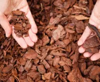 The Benefits of Buying Wood Chips, Bark, and Mulch in Bulk from Bark UK: Storage Tips and More