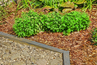 Upgrade Your Garden with Wood Chippings from Bark UK