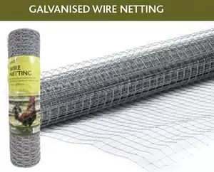 Galvanised Chicken Wire Netting  10m  x 25mm x 900mm 